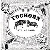 Foghorn Stringband - Let Me Fall