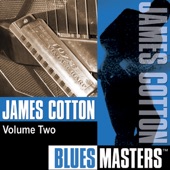 Blues Masters Vol. 2 artwork