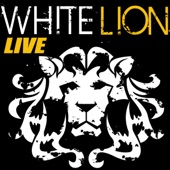 White Lion (Live) artwork