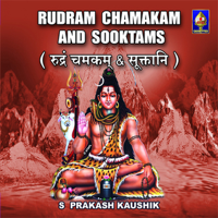 S Prakash Kaushik - Rudram Chamakam And Sooktams artwork
