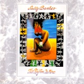 Sally Barker - Or Did You Jump