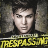 Trespassing artwork