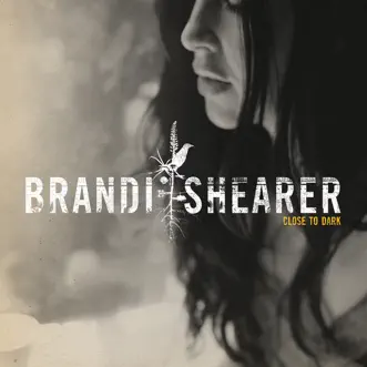 Lullabies by Brandi Shearer song reviws