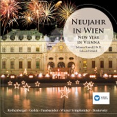 Neujahr in Wien (New Year in Vienna) artwork