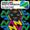 DJ Culture (feat. Roots Manuva) artwork