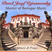 Vejvanovsky: Master of Baroque Music artwork