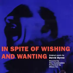 In Spite of Wishing and Wanting - David Byrne