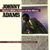 Room With a View of the Blues (feat. Duke Robillard, Dr. John, Walter "Wolfman" Washington)