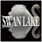 Swan Lake Op. 20: Spanish Dance artwork