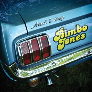 Bimbo Jones - And I Try (Radio Edit) - Line Dance Musique