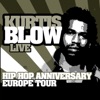 Hip Hop Anniversary Europe Tour (Live)