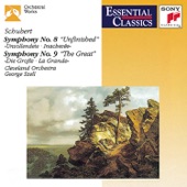 Franz Schubert - Symphony No. 8 in B Minor, D. 759 "Unfinished": I. Allegro moderato