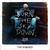 Burn the Sky Down (The Remixes) artwork