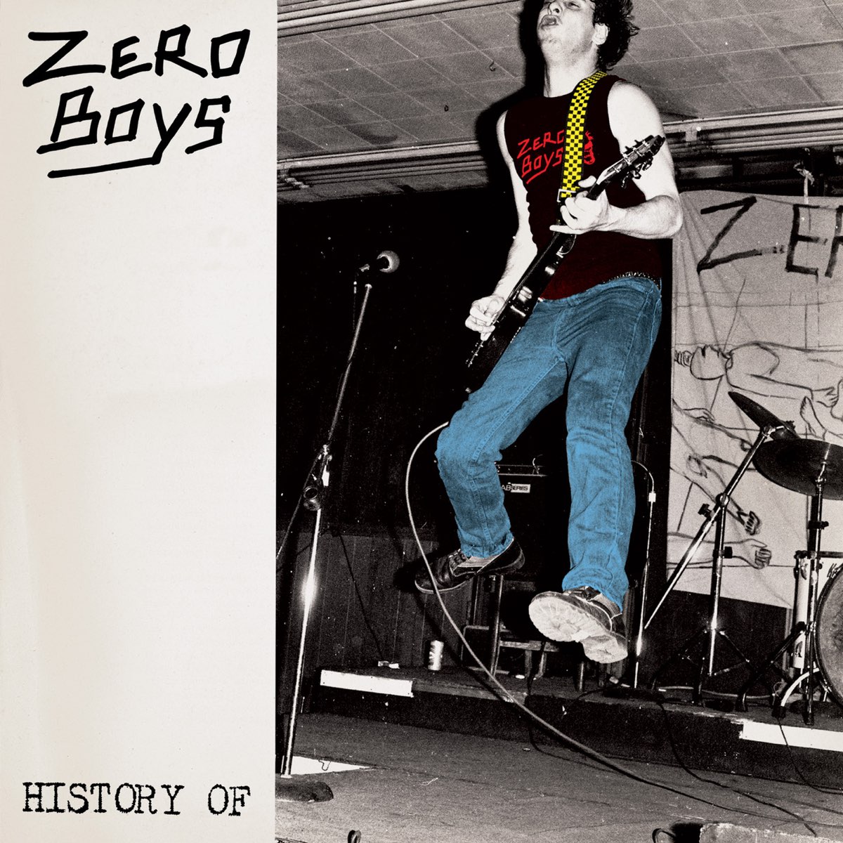 ‎History of the Zero Boys by Zero Boys on Apple Music