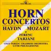 Stream & download 2. Concerto for Horn and Orchestra in D major Hob.VIId:3: Adagio