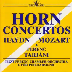 4. Concert Rondo for Horn and Orchestra in E flat major KV.371 Song Lyrics