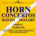 1. Concerto for Horn and Orchestra in D major Hob.VIId:4: Adagio song reviews