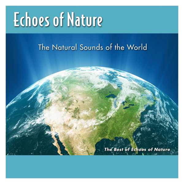 Natural last. Echoes of nature Thunderstorm. Echoes of nature morning Songbirds. Echoes of nature 5cd. Echo Forest.