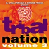 Tribal Nation 3