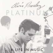 Platinum: A Life In Music artwork