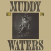 Muddy Waters - I Feel Like Going Home