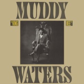 Muddy Waters - Forever Lonely