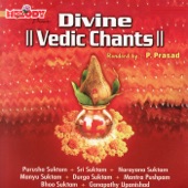 Divine Vedic Chants artwork