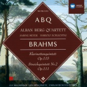 Brahms: Klarinettenquintett, Op.115 & Streichquintett Nr. 2, Op.111 artwork