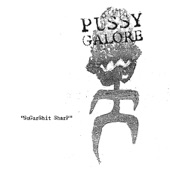 Pussy Galore - Brick