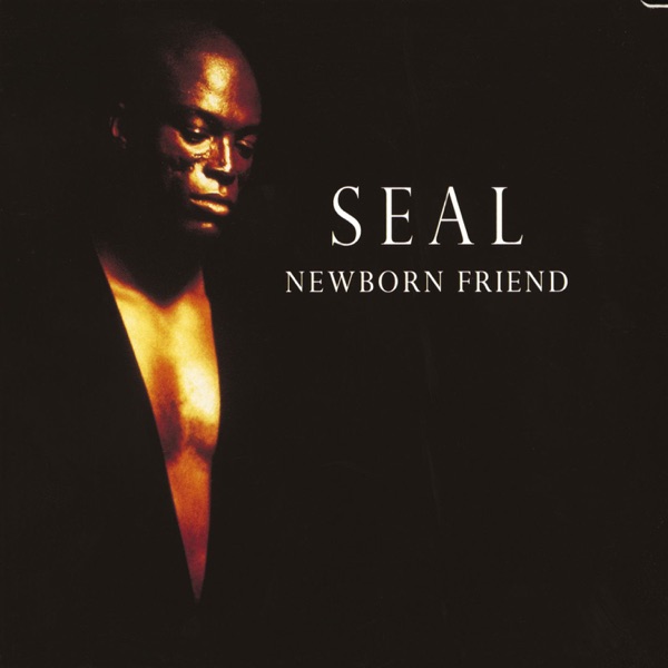 Newborn Friend - Seal