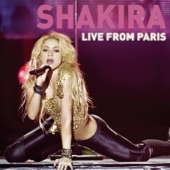 Shakira - She Wolf