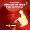 Aapastamba Sootra Yajurveda Amaavaasya Tarpanam - Smaartaa album lyrics, reviews, download