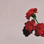 ℗ 2013 Getting Out Our Dreams and Columbia Records, a Division of Sony Music Entertainment