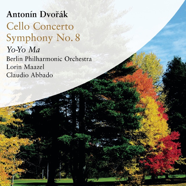 Concerto In B Minor for Cello and Orchestra, Op. 104: I. Allegro