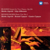 Brahms: Sonata for Two Pianos, Op.34b & Mendelssohn: Piano Trio No.1 artwork