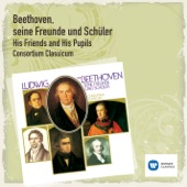 Thema mit Variations für Klarinette und Klavier artwork