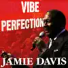 Vibe Over Perfection album lyrics, reviews, download