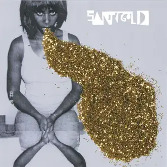 I'm a Lady (feat. Trouble Andrew) by Santigold song reviws