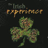 The Irish Experience - The Irish Experience