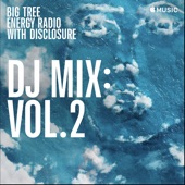 Big Tree Energy Radio, Vol. 2 (DJ Mix) artwork