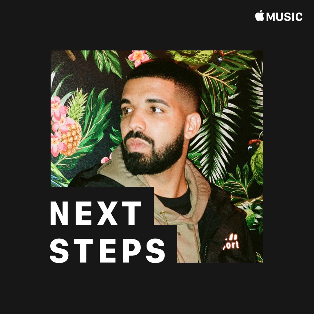 Drake: Next Steps