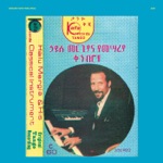 Hailu Mergia - Amrew Demkew