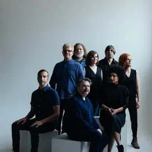 The New Pornographers