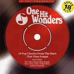 One Hit Wonders - 18 Pop Classics from the Stars That Time Forgot (Rerecorded Version) by Various Artists album reviews, ratings, credits