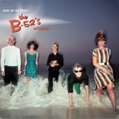 The B-52'S - Wig