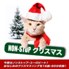 Non-Stop クリスマス・パーティー (いまさら人に聞けないシリーズ特別編) - The Noel Party Singers