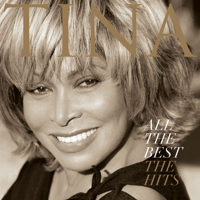 Tina Turner - Proud Mary artwork
