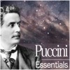 Puccini: Essentials