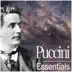 Puccini: Essentials album cover