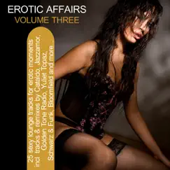 Erotic Affairs Vol. 3 - 25 Sexy Lounge Tracks for Erotic Moments by Various Artists album reviews, ratings, credits